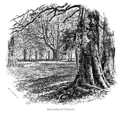Anderwood Corner by Walter Crane